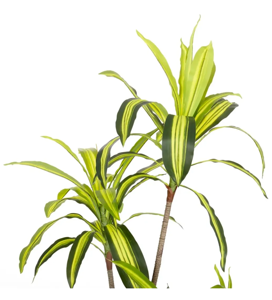 Sztuczna roślina DRACENA 150 cm*Zona-Design Online