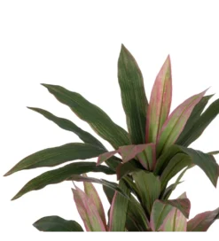 Sztuczna roślina DRACENA 160 cm*Zona-Design Online