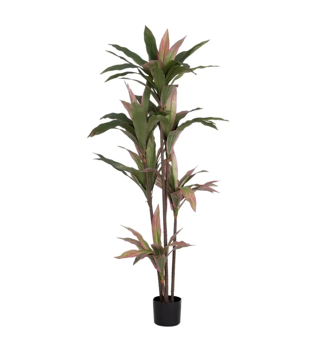 Sztuczna roślina DRACENA 160 cm*Zona-Design Online