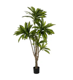Sztuczna roślina drzewo DRACAENA 200 cm*Zona-Design New