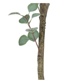 Sztuczna roślina EUKALIPTUS 180 cm*Zona-Design Clearance