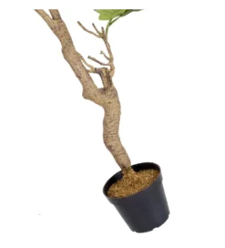 Sztuczna roślina FIKUS 200 cm*Zona-Design Outlet