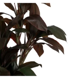 Sztuczna roślina JARDIN 170 cm*Zona-Design Sale