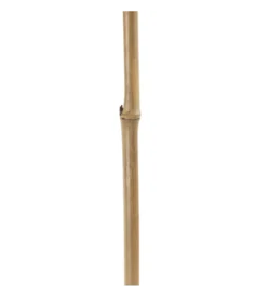 Sztuczna roślina KOSNO 190 cm naturalna*Zona-Design Clearance