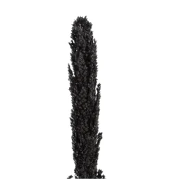 Sztuczna roślina KOSNO 190 cm naturalna czarna*Zona-Design Best