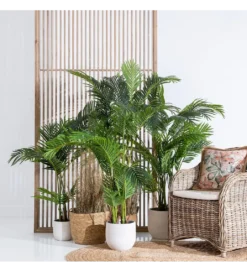Sztuczna roślina PALMERA 170 cm*Zona-Design Outlet