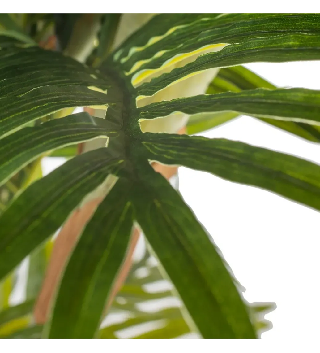 Sztuczna roślina PALMERA 170 cm*Zona-Design Outlet