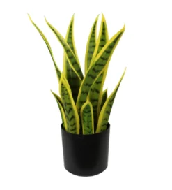 Sztuczna roślina SANSEVIERA 42 cm*Imeri Discount