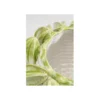 Wazon Carambola 23 cm*KDesign New