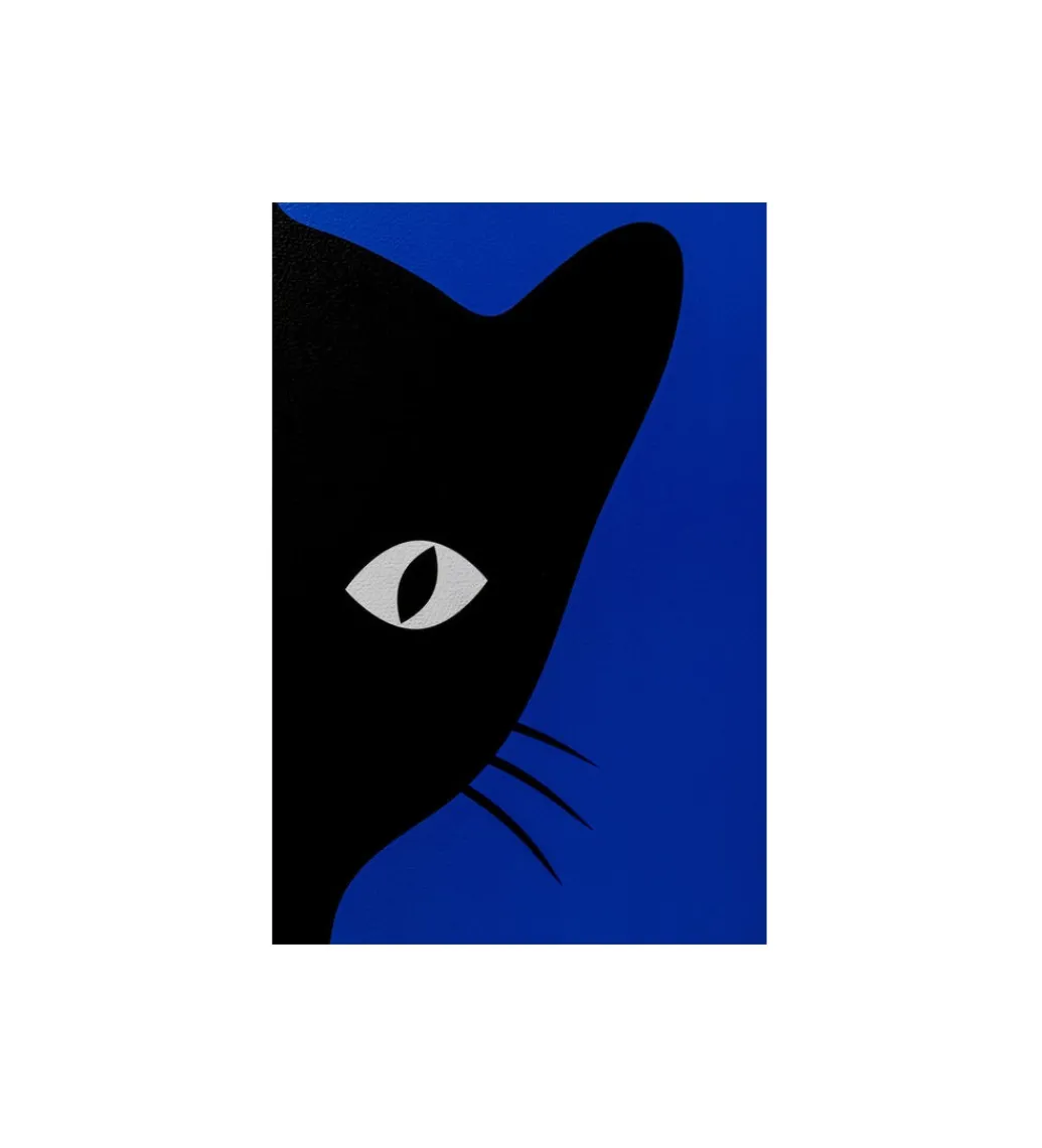 Zestaw 2 obrazów CIAO GATTO 60 x 40 cm*KDesign Online